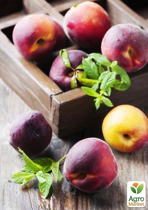 Персик "Красна девиця" (літній сорт, середньо-пізній термін дозрівання) - фото 4