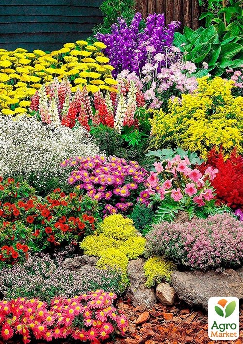 Декоративная смесь "Альпийская горка" ТМ "Vesna Exclusive" 1г