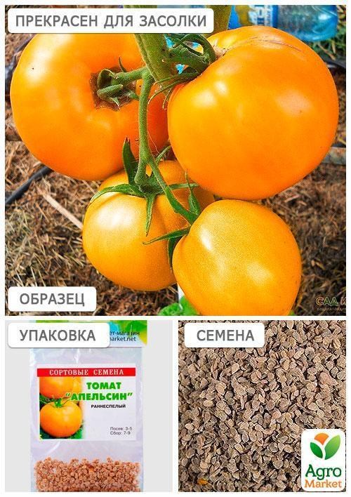 Томат "Апельсин" (Зипер) ТМ "Весна" 0,5г - фото 4