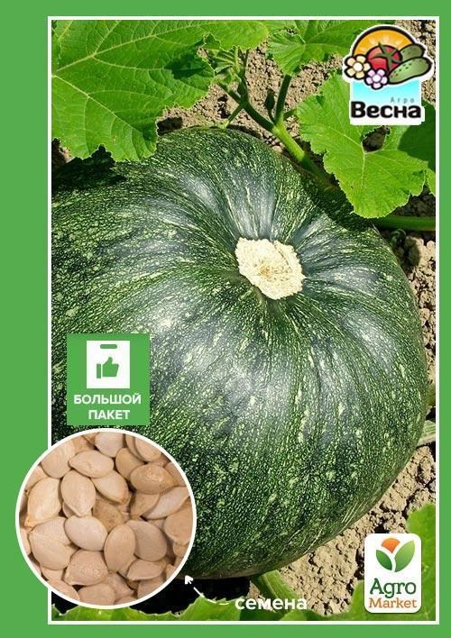 Гарбуз "Мускатний" (Великий пакет) ТМ "Весна" 8г
