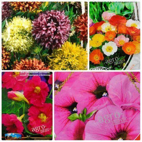 Комплект семян цветов "Оранжерея любви" 15уп