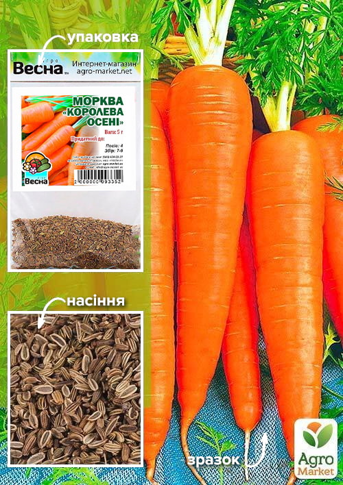 Морква "Королева осені" (Зипер) ТМ "Весна" 5г