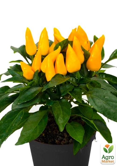 Капсикум Сальса "Yellow"