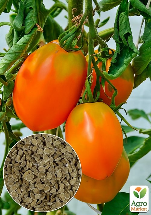 Томат "Кенигсберг золотой" ТМ "Весна" 0.1г