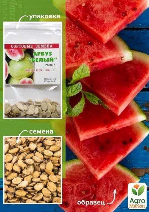 Арбуз "Белый" (Зипер) ТМ "Весна" 4г