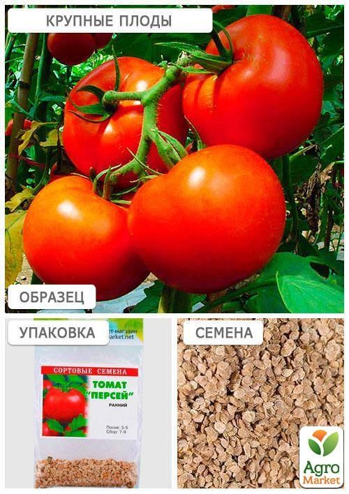 Томат "Персей" (Зипер) ТМ "Весна" 1г - фото 4