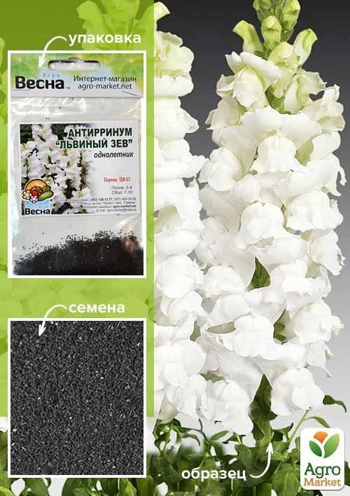 Антирринум "Львиный зев белый" (Зипер) ТМ "Весна" 0,5г