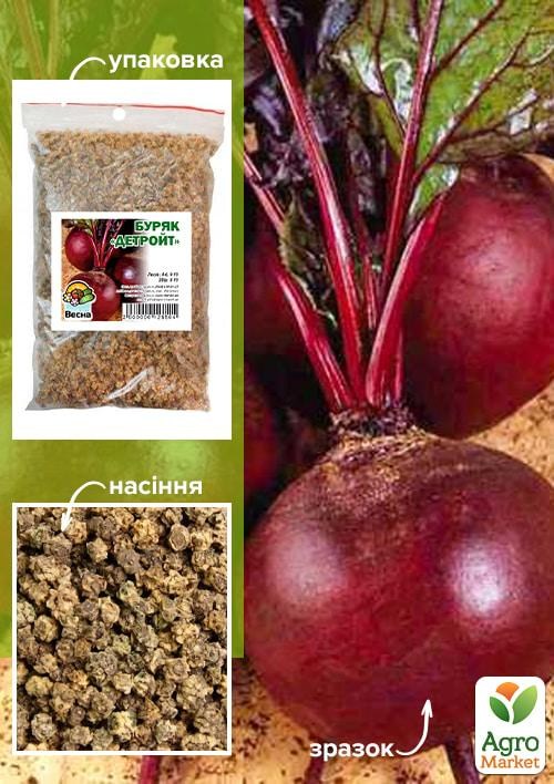 Свекла "Детройт" ТМ "Весна" 100г