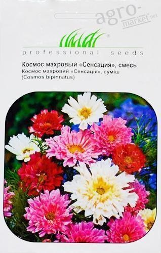 Космея "Сенсация смесь" ТМ "Hem Zaden" 0.2г