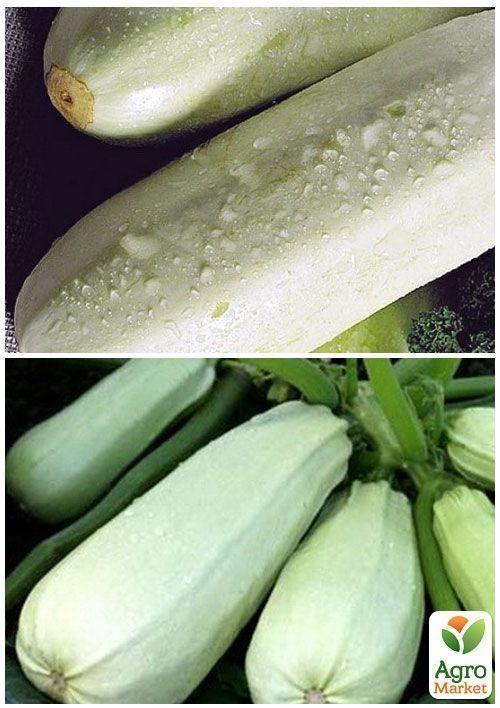 На развес Кабачок "Белоплодный" ТМ "Весна" цена за 8г - фото 3