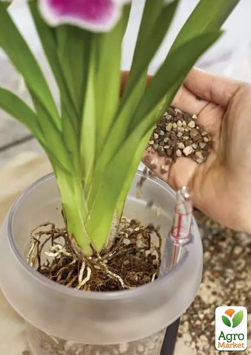 Субстрат Lechuza для орхидей Orhidpon 3л (19580) - фото 2