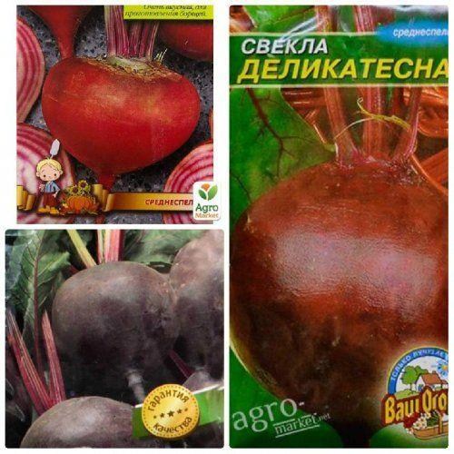 Комплект насіння буряка "Їдальня" 5уп