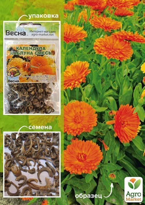 Календула "Каблуна суміш" (Зипер) ТМ "Весна" 2г
