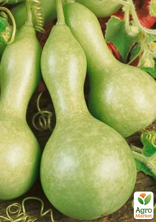 Лагенарія "Ластівчине гніздо" ТМ "Vesna Select" 6шт - фото 3