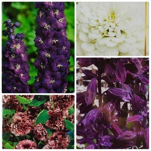 Комплект семян цветов "Дрожащие острова" 5уп