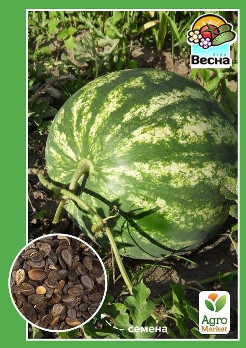 Кавун "Вересовий мед" (Новий пакет) ТМ "Весна" 2г