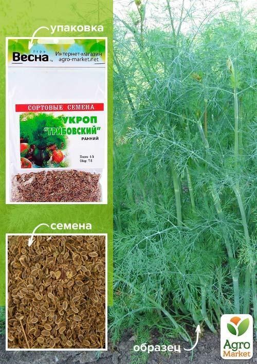 Укроп "Грибовский" (Зипер) ТМ "Весна" 7г