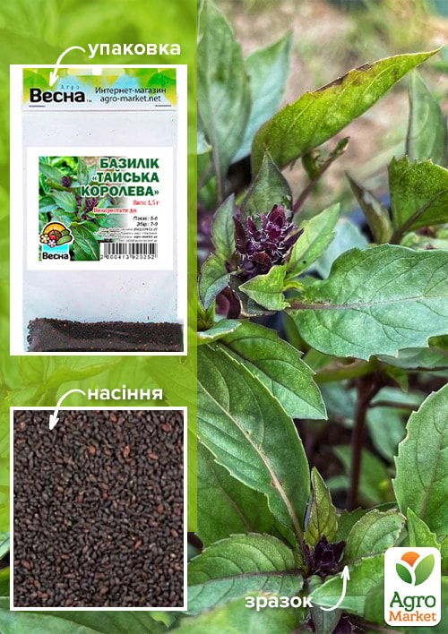 Базилик "Тайская королева" (Зипер) ТМ "Весна" 1,5г