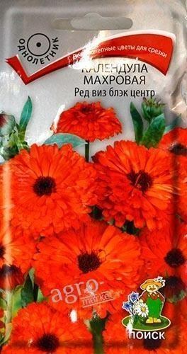 Календула махрова "Ред віз блек центр" ТМ "Пошук" 0.4г
