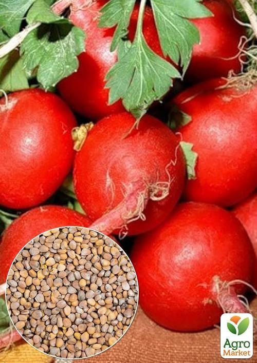 На развес Редис "Жара" ТМ "Весна" цена за 10г