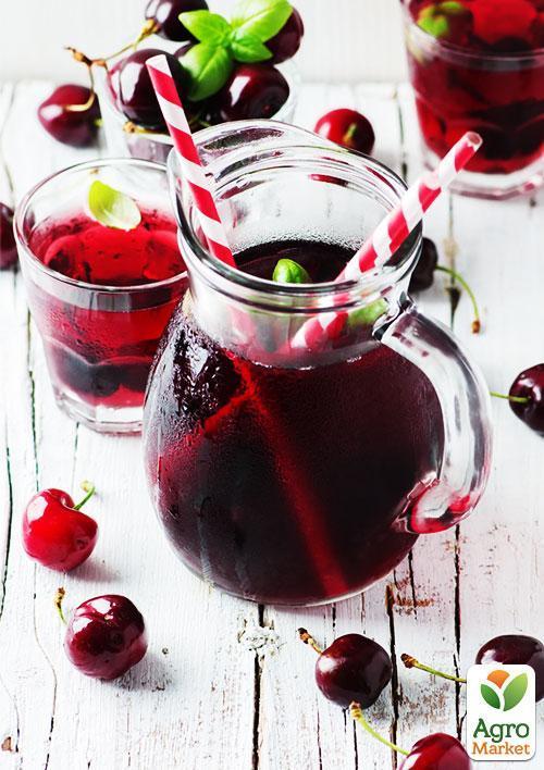 Ексклюзив! Вишня темно-бордова "Блаженство" (Bliss) (угорська селекція, преміальний високоякісний сорт) - фото 6