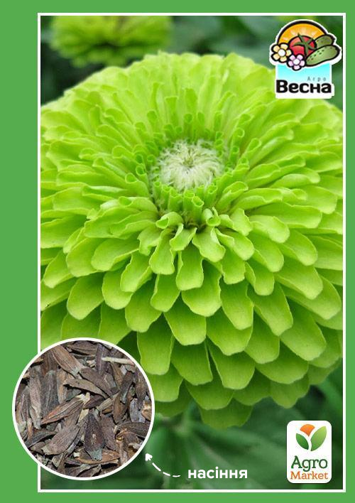 Цинія "Заздрість" ТМ "Весна" 0.4г