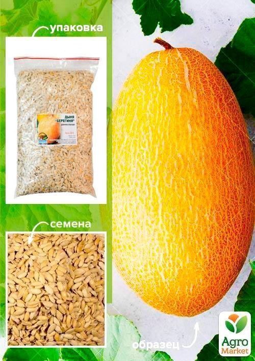 Диня "Берегиня" ТМ "Весна" 500г