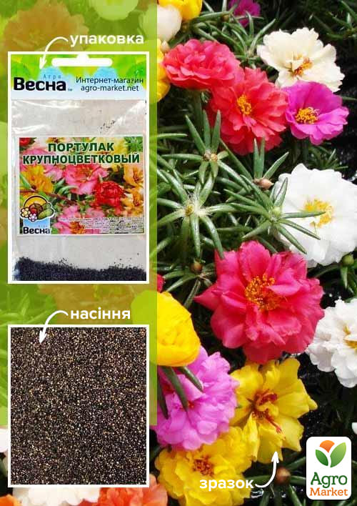 Портулак "Великоквітковий" (Зипер) ТМ "Весна" 1г