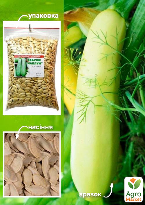 Кабачок "Чаклун" ТМ "Весна" 500г