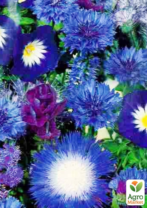 Декоративна суміш "Блакитна мрія" ТМ "Vesna Exclusive" 1г