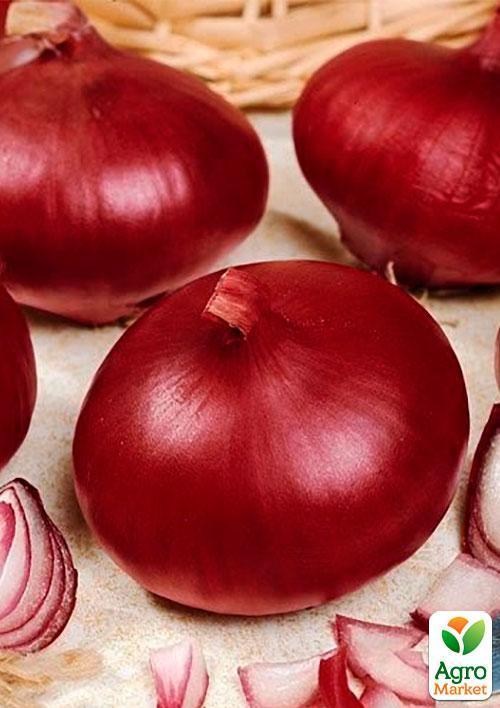 Лук "Кармен" (Зипер) ТМ "Весна" 3г - фото 2