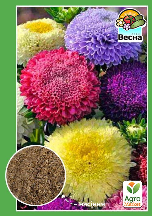 Астра "Супер Принцесса" ТМ "Весна" 0.2г