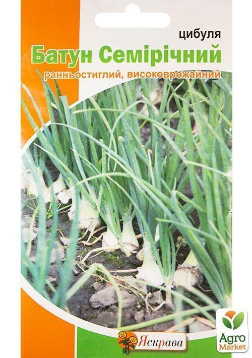 Лук батун "Семилетний" ТМ "Яскрава" 1г