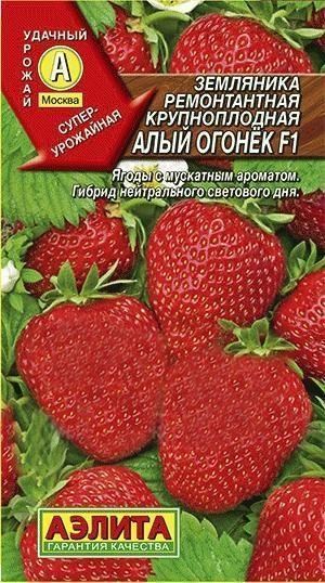 Суниця ремонтантна великоплідна "Червоний вогник F1" ТМ "Аеліта" 10шт