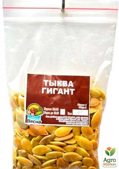 Тыква "Гигант" ТМ "Весна" 100г - фото 2