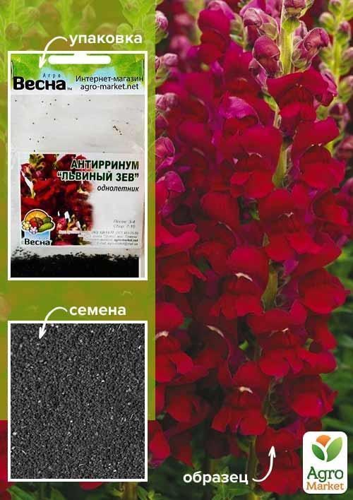 Антирринум "Львиный зев красный" (Зипер) ТМ "Весна" 0,5г