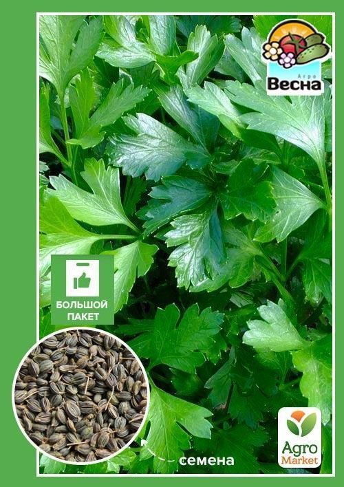 Петрушка "Карнавал" (Большой пакет) ТМ "Весна" 7г