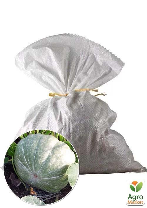 Тыква "Лечебная" ТМ Весна 3кг