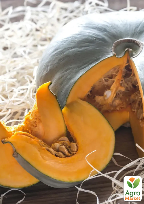 Тыква "Блу Де Хонгри" ТМ "Профессиональные семена" 10шт