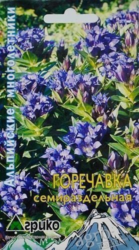Горечавка "Семираздельная" ТМ "Агрико" 20шт