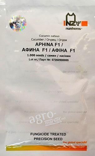 Огірок "Афіна F1" ТМ "Nunhems" 1000шт