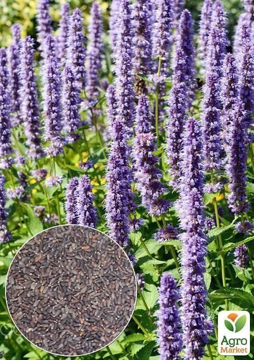 На вагу Гісоп "Аристократ" ТМ "Весна" ціна за 3г