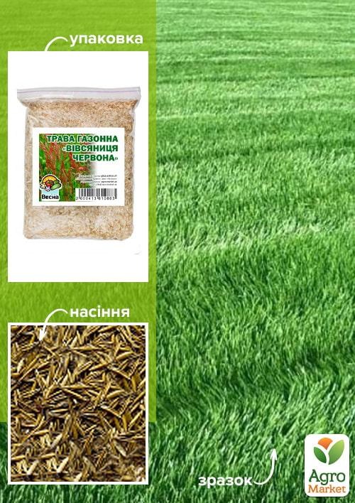 Трава газонна "Вівсяниця червона" ТМ "Весна" 500г