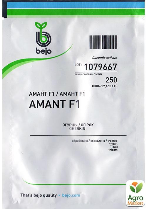 Огірок "Амант F1" ТМ "Bejо" 250шт NEW