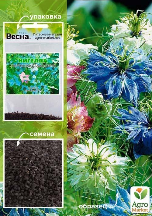 Нигелла "Чернушка дамасская" (Черный тмин) (Зипер) ТМ "Весна" 2г