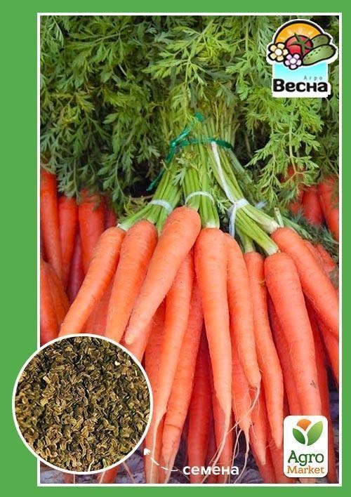 Морковь "Долянка" ТМ "Весна" 2г
