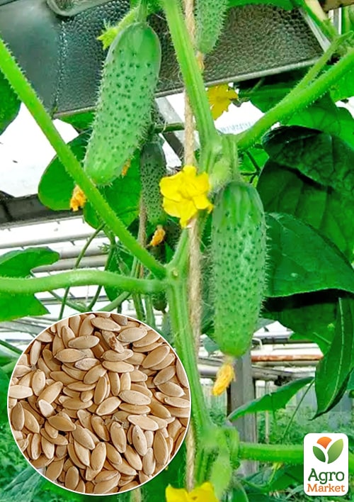 Огірок "Хрумкий" ТМ "Весна" 0.5г