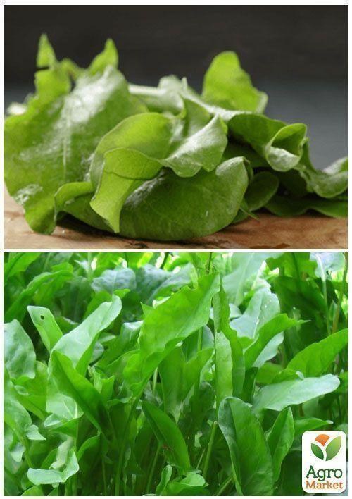 На развес Щавель "Бельвильский" ТМ "Весна" цена за 6г - фото 3