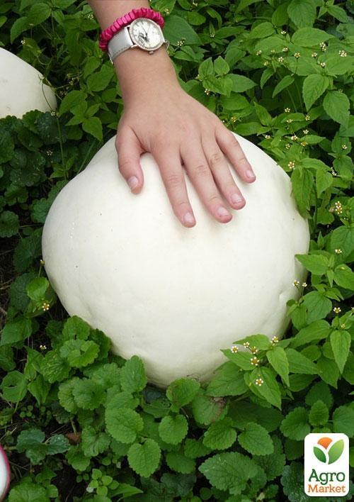 Сухой зерновой мицелий "Дождевик гигантский" 100г