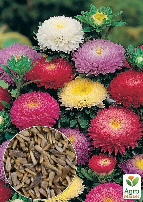 На развес Астра букетная смесь ТМ "Весна" цена за 1,5г